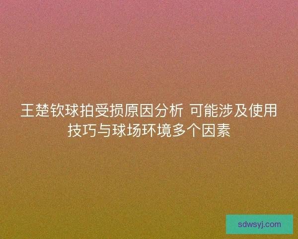 王楚钦球拍受损原因分析 可能涉及使用技巧与球场环境多个因素